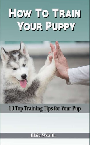 How To Train Your Puppy 10 Top Training Tips for Your Pup