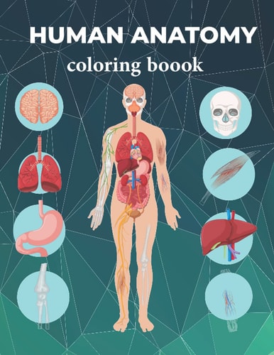Human Anatomy Coloring Boook Human Anatomy Coloring Book for Adults