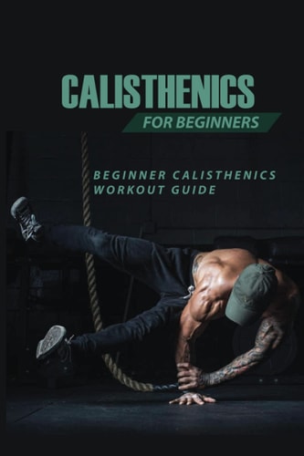 Calisthenics For Beginners Beginner Calisthenics Workout-Guide: Calisthenics Back Workout