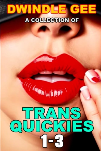 A Collection of Trans Quickies 1-3 The Virgin Crossdresser at the Crossroads Motel / Transsexual on a Train / Crossdresser Caught by Roommate