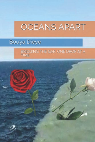 Oceans Apart Bridging the Gap, One Drop at a Time