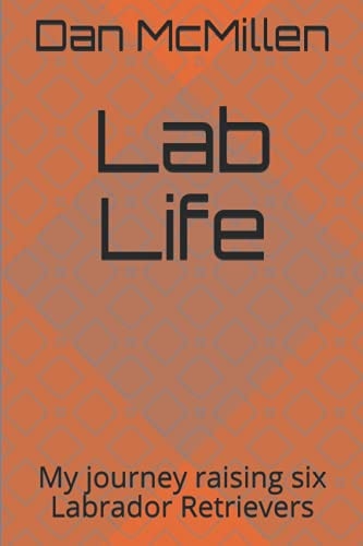 Lab Life My Journey Raising Six Labrador Retrievers