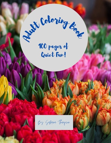 Adult Coloring Book 100 Pages of Quiet Time. Fun & Relaxing. Great for Stocking Stuffers Or a Gift for Any Occasion!