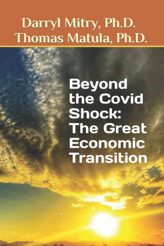 Beyond the Covid Shock The Great Economic Transition