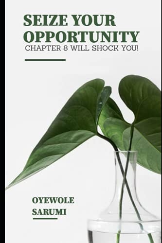 Seize Your Opportunity. Chapter 8 Will Shock You