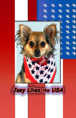Joey Likes the USA