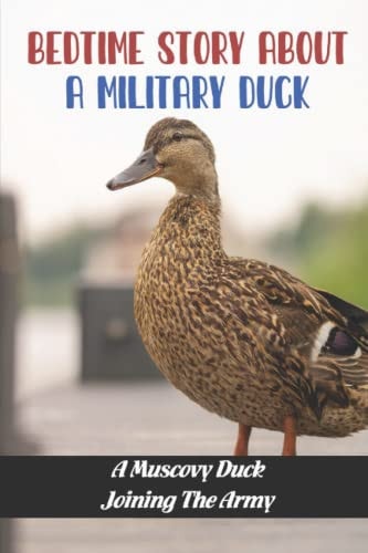 Bedtime Story About A Military Duck A Muscovy Duck Joining The Army