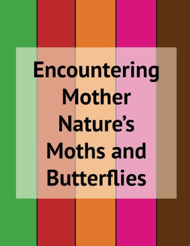 Encountering Mother Nature's Moths and Butterflies