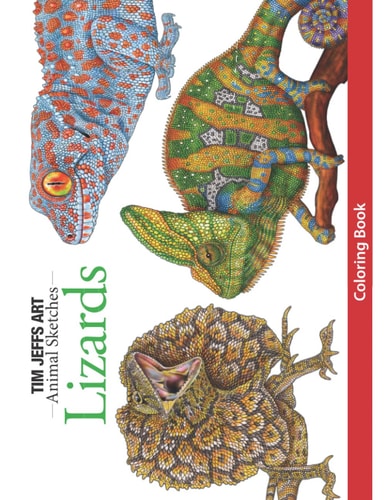 Lizards Coloring Book