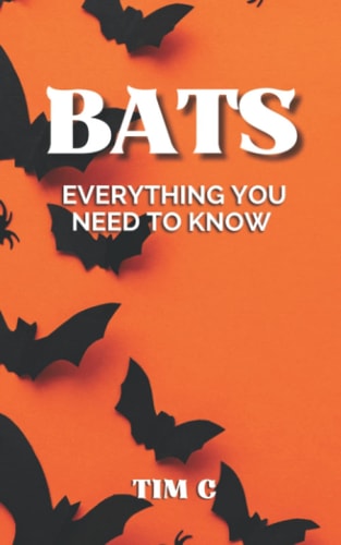Bats Everything You Need To Know
