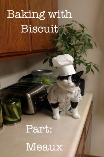 Baking with Biscuit Part Meaux