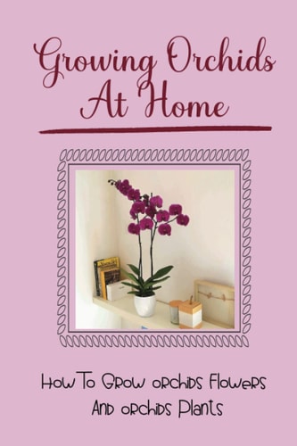 Growing Orchids At Home How To Grow Orchids Flowers And Orchids Plants