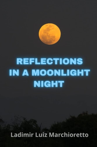 Reflections in a Moonlight Night