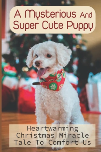 A Mysterious And Super Cute Puppy Heartwarming Christmas Miracle Tale To Comfort Us