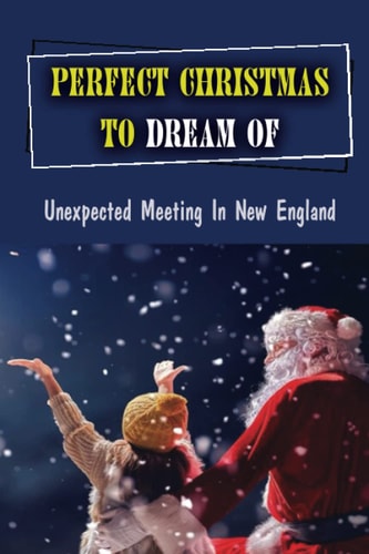 Perfect Christmas To Dream Of Unexpected Meeting In New England
