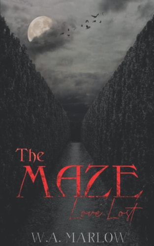 The Maze Love Lost