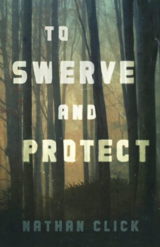 To Swerve and Protect
