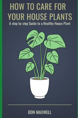 How To Care For Your House Plants A Step by Step Guide to a Healthy House Plant