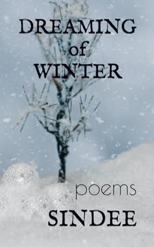 Dreaming of Winter Poems