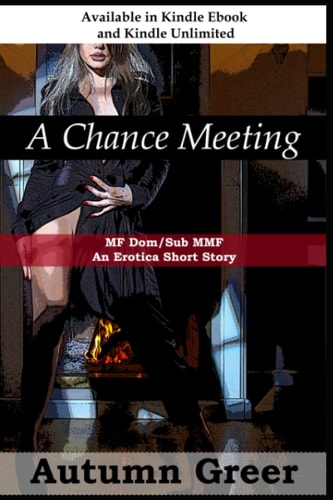 A Chance Meeting : MF Dom/Sub MMF An Erotica Short Story