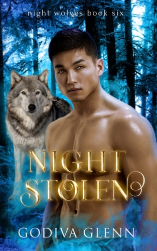 Night Stolen A Wolf Shifter Romance