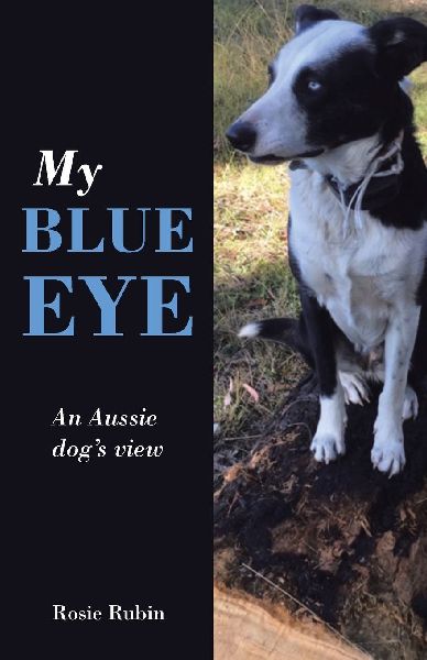 My Blue Eye: An Aussie dogs view