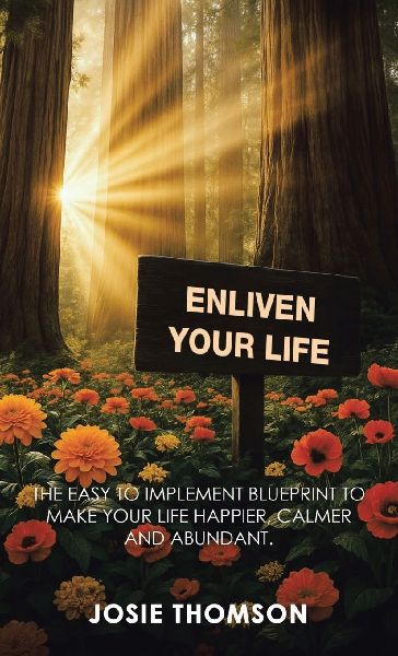 ENLIVEN YOUR LIFE: The Easy to Implement Blueprint to Make Your Life Happier, Calmer and Abundant.