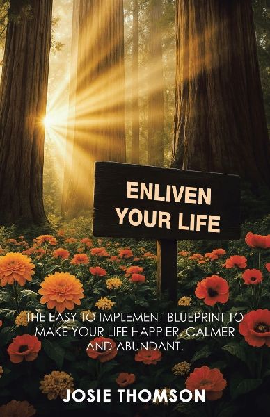ENLIVEN YOUR LIFE: The Easy to Implement Blueprint to Make Your Life Happier, Calmer and Abundant.