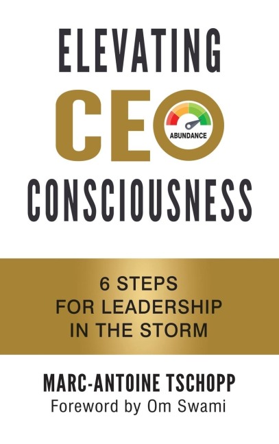 ELEVATING CEO CONSCIOUSNESS: 6 Steps for Leadership in the Storm