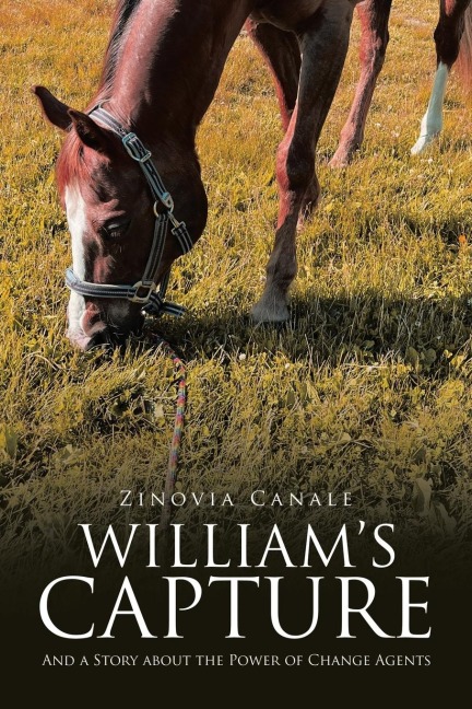 Williams Capture: And a Story about the Power of Change Agents
