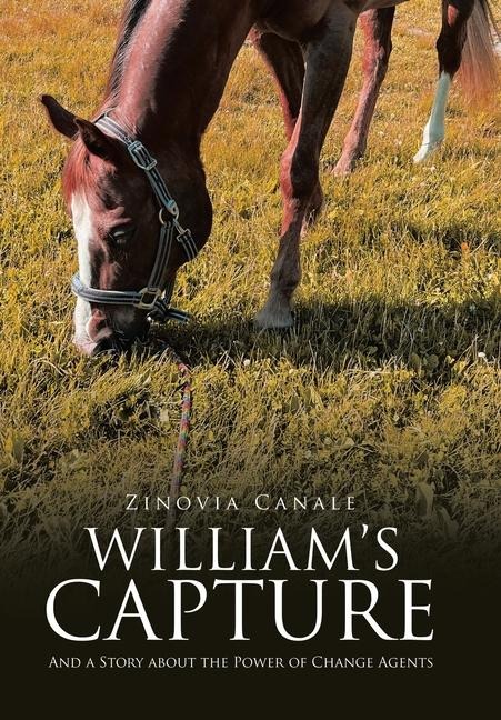 Williams Capture: And a Story about the Power of Change Agents