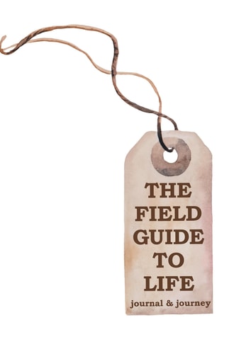 The Field Guide to Life Journal and Journey