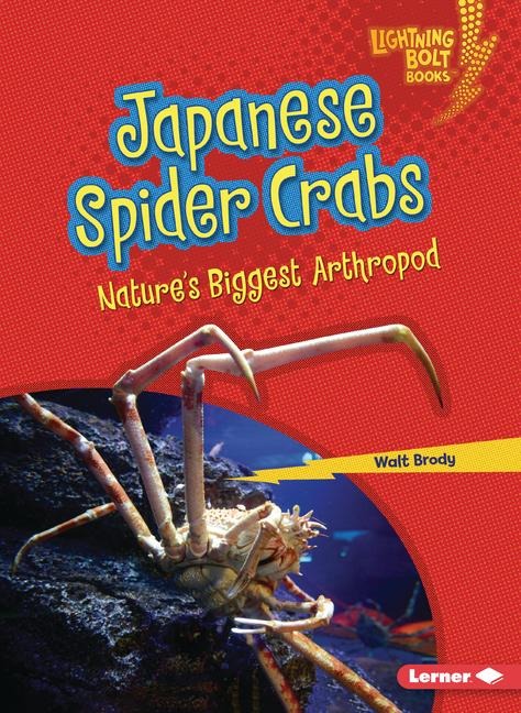 Japanese Spider Crabs: Natures Biggest Arthropod