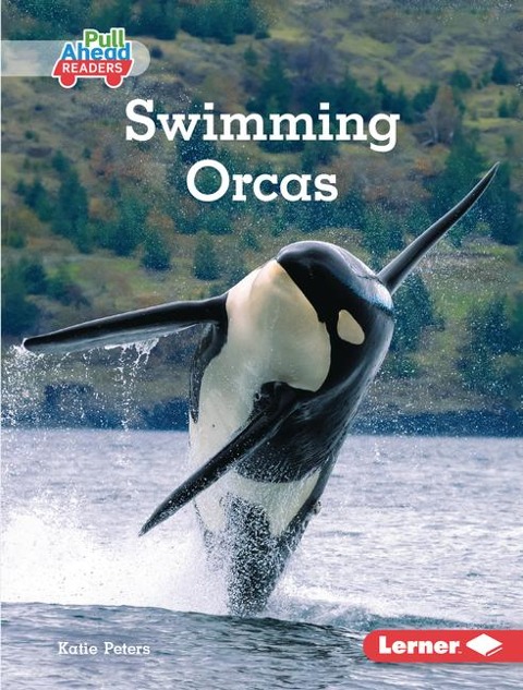Swimming Orcas
