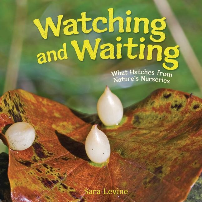 Watching and Waiting: What Hatches from Natures Nurseries