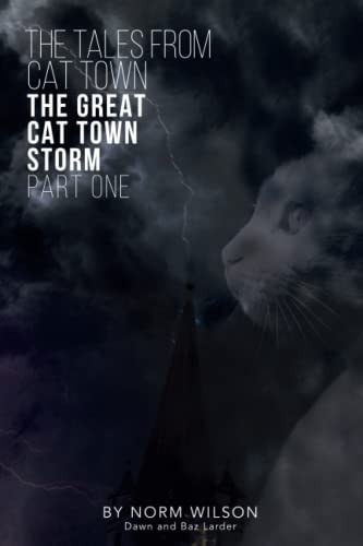 The Tales from Cat Town The Great Cat Town Storm ( Part 1 )
