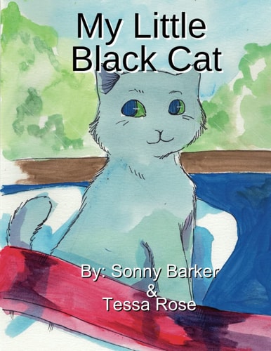 My Little Black Cat