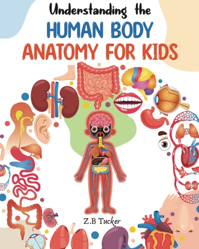 Understanding the Human Body Human Anatomy Made Easy for Kids