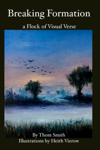 Breaking Formation A Flock of Visual Verse