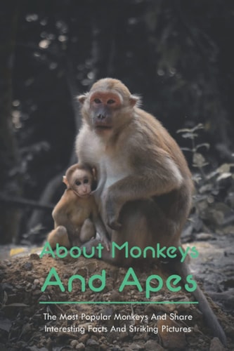 About Monkeys And Apes The Most Popular Monkeys And Share Interesting Facts And Striking Pictures