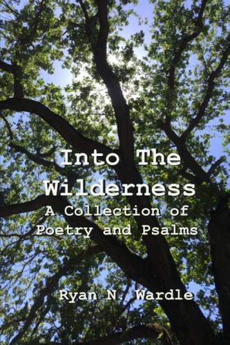 Into The Wilderness A Collection of Poetry and Psalms