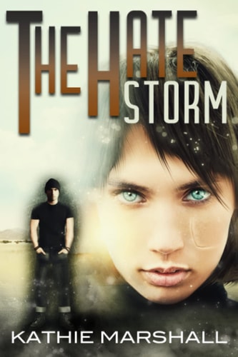 The Hate Storm Claire Cooperman Book 2