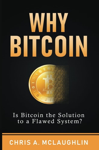 Why Bitcoin Is Bitcoin the Solution to a Flawed System?