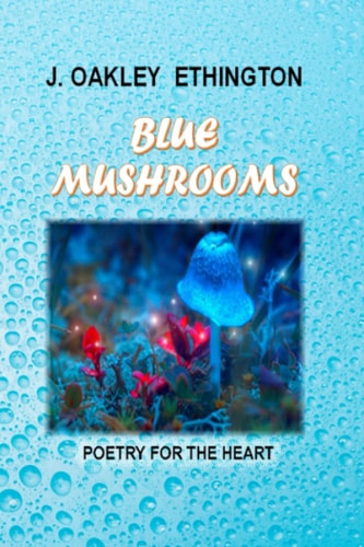 Blue Mushrooms Love, Missteps and God