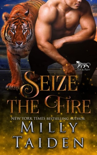 Seize the Fire