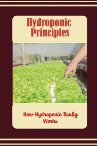 Hydroponic Principles How Hydroponic Really Works