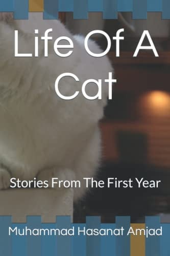 Life Of A Cat Stories From The First Year