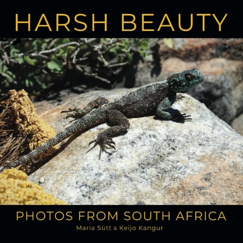Harsh Beauty Photos from South Africa
