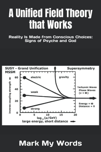 A Unified Field Theory that Works Reality Is Made from Conscious Choices: Signs of Psyche and God