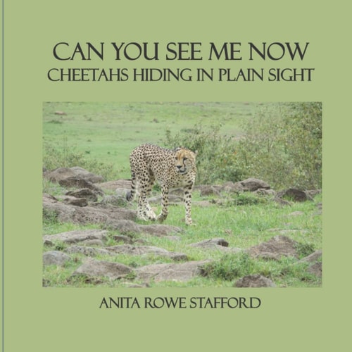 Can You See Me Now Cheetahs Hiding in Plain Sight